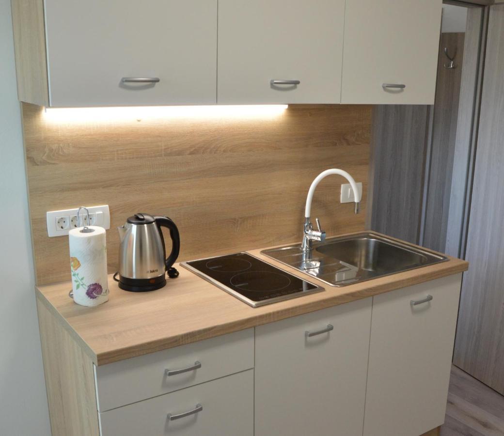 Apartma Vila Zigmund Cerknica Eksteriør billede