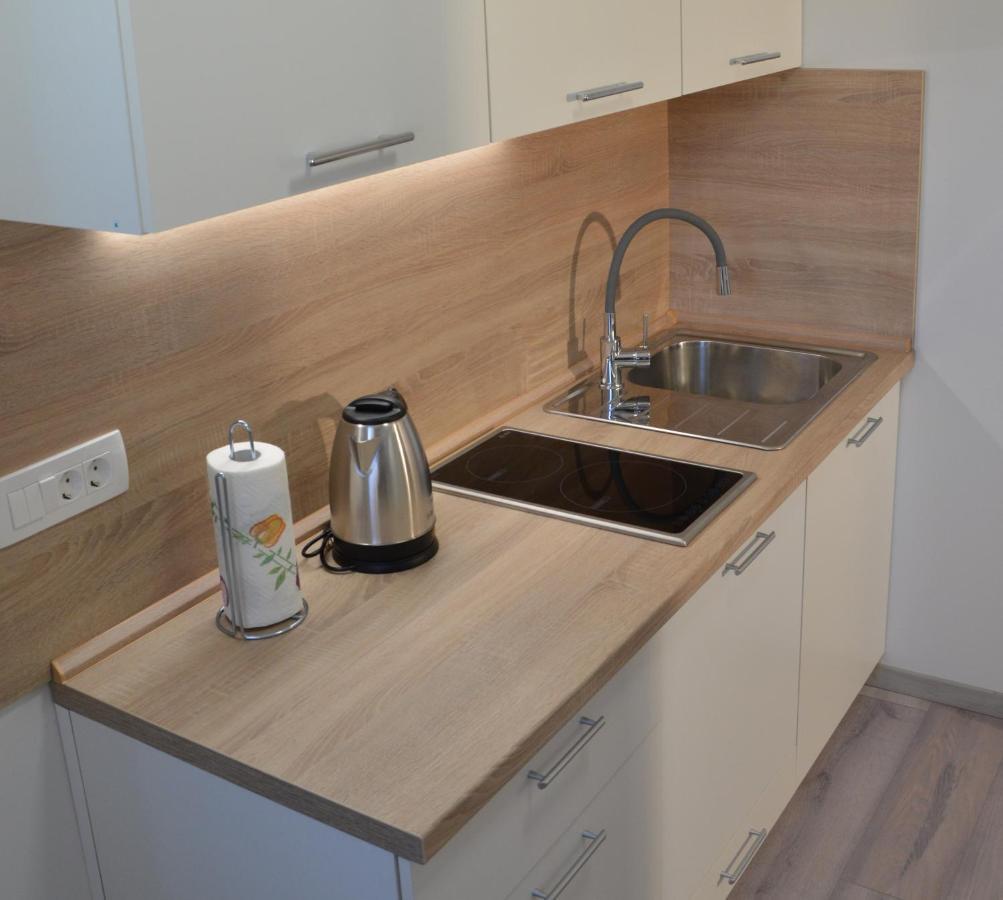 Apartma Vila Zigmund Cerknica Eksteriør billede